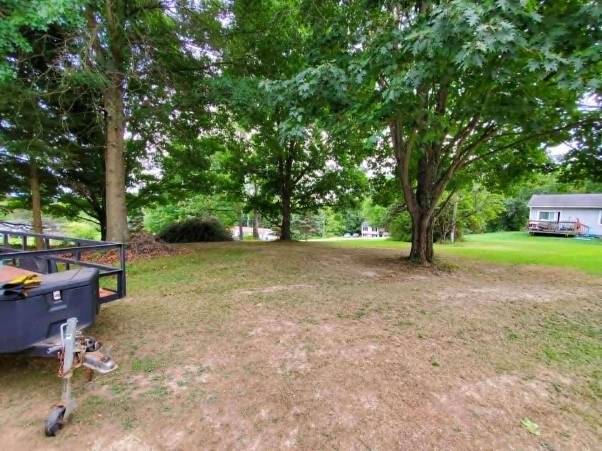 Yard after tree trimming
