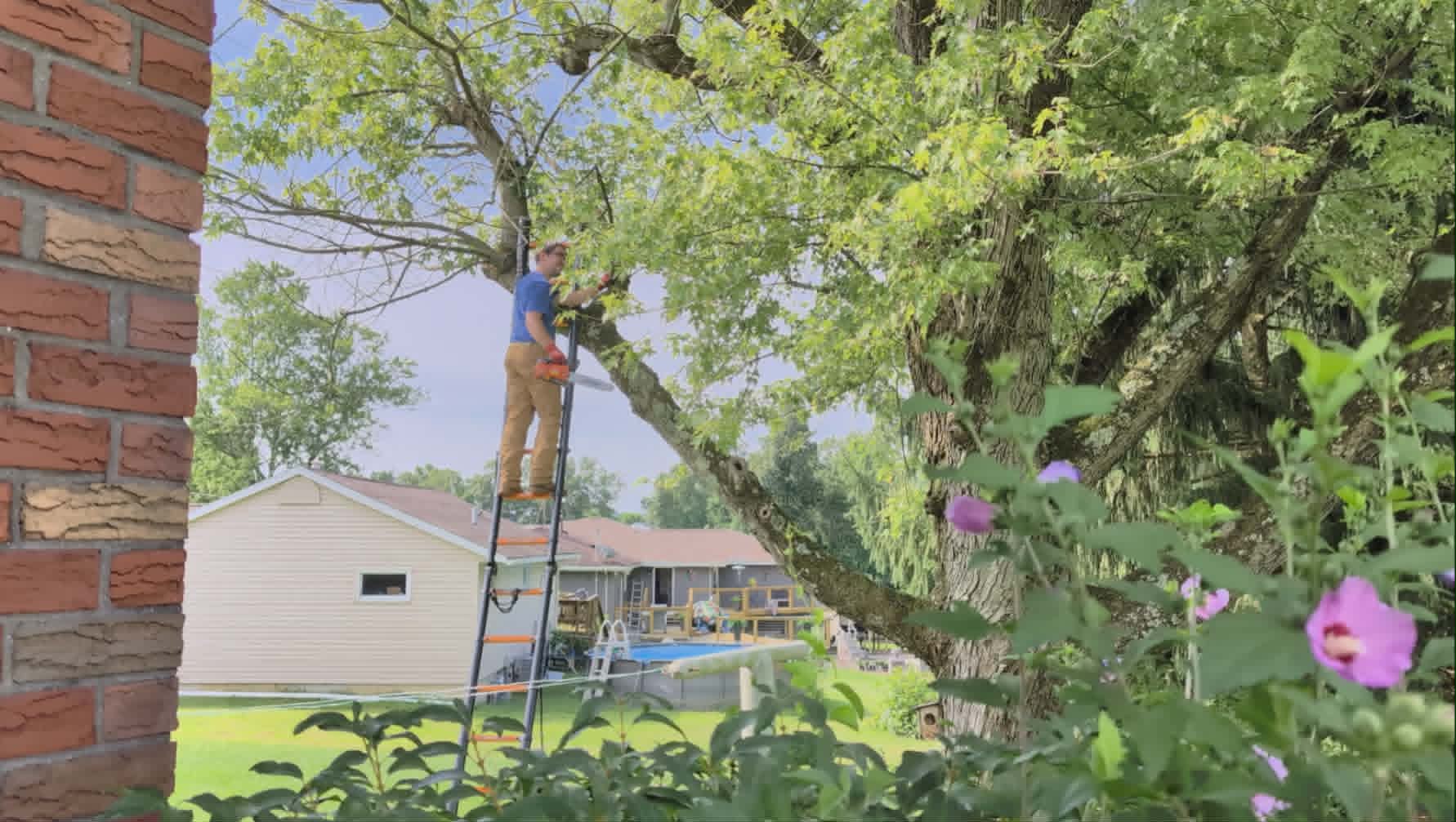 Trimming overhead branches near a residential home